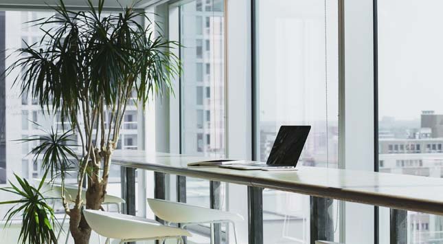 Luxurious Office Design